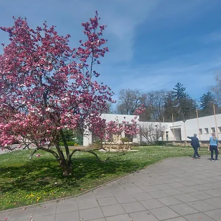 Dom Na Cervenej Vezi *