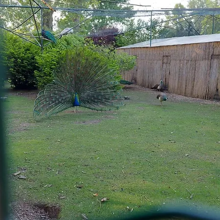 Dom Na Cervenej Vezi Дом отдыха *